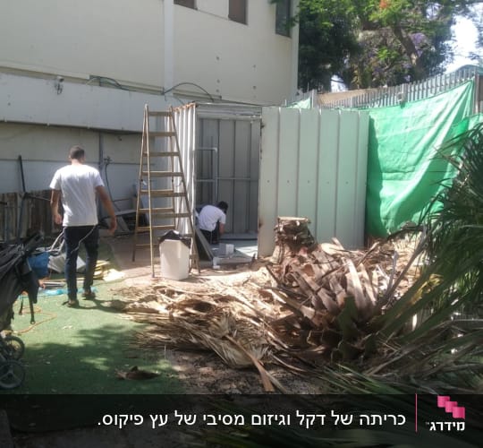 גזם כפות דקלים על הקרקע ליד גזע עץ כרות